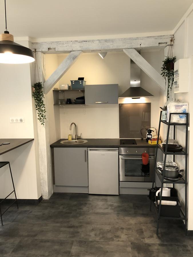 Ferienwohnung Hypercentre Orléans Exterior foto
