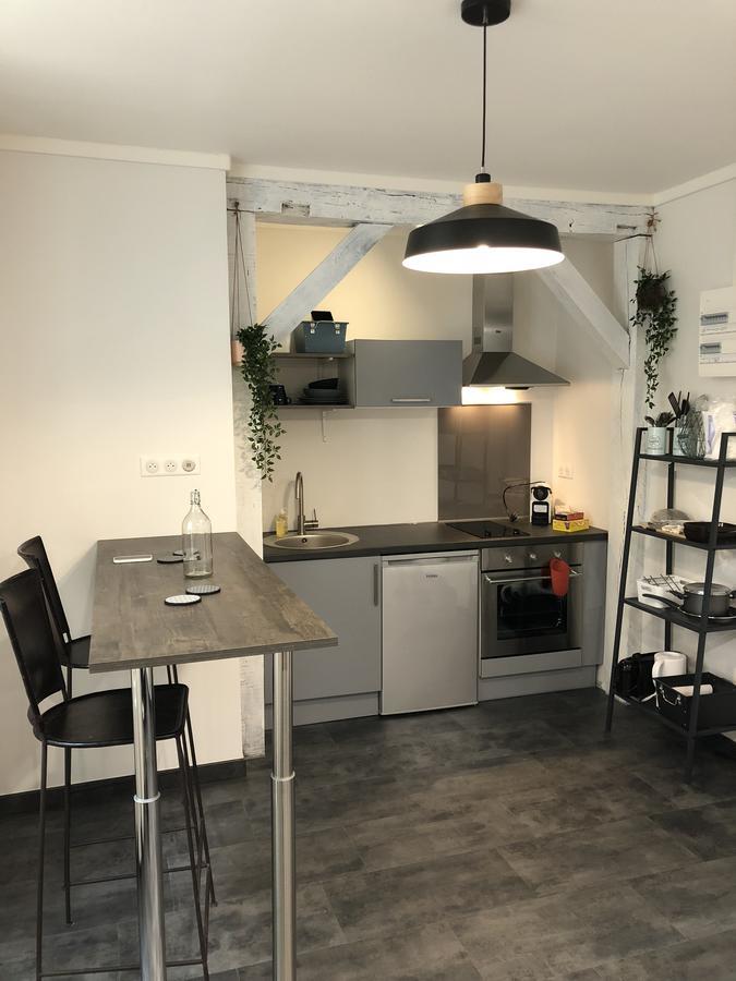 Ferienwohnung Hypercentre Orléans Exterior foto